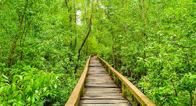 হরিণঘাটা পর্যটন কেন্দ্র